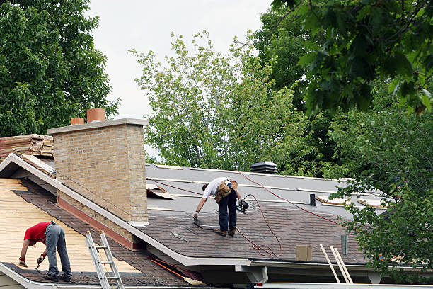 Best Storm Damage Roof Repair  in Mcguire Af, NJ