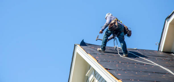 Best Roof Maintenance Services  in Mcguire Af, NJ